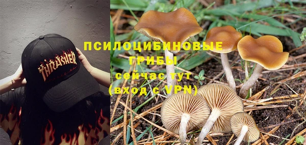 крисы Иннополис