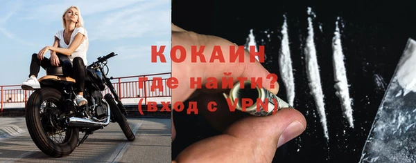 гидра Инсар