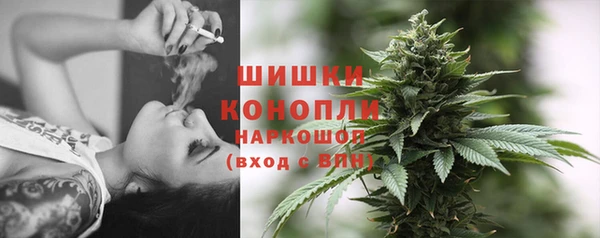 гидра Инсар