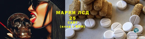 гидра Инсар