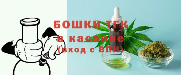 гидра Инсар
