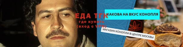 гидра Инсар