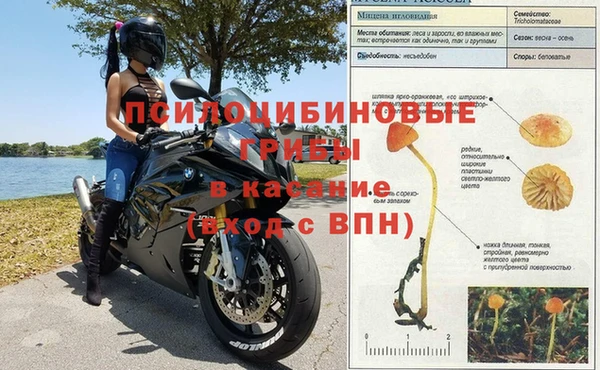 гидра Инсар