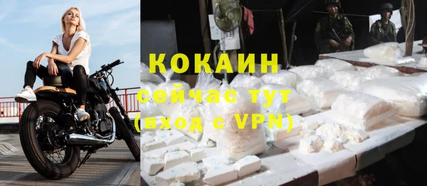 гидра Инсар