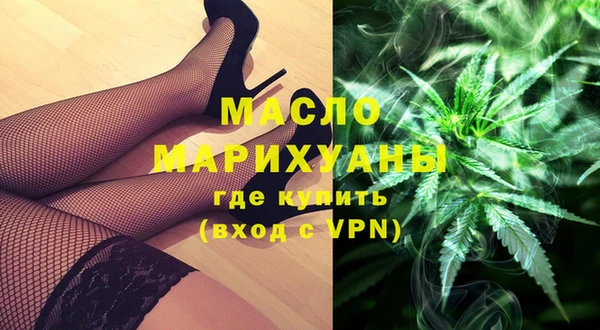 гидра Инсар