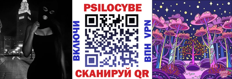 Купить  Бикин  Галлюциногенные грибы GOLDEN TEACHER 